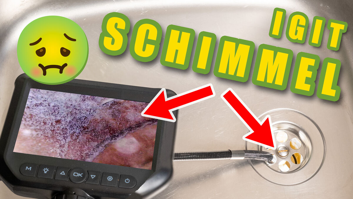Küchenabfluss stinkt nach Schimmel ist nicht verstopft